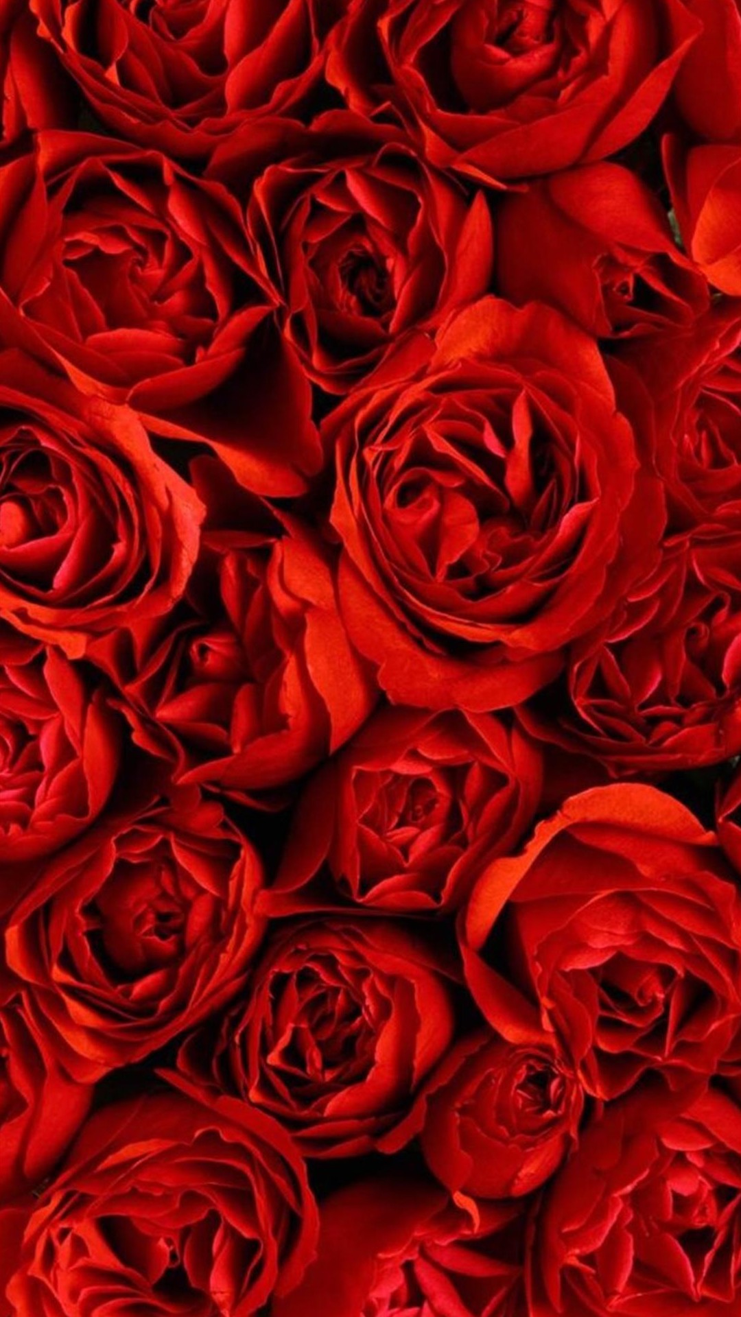 Flower S4 Wallpapers 90 