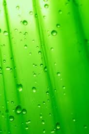 Iphone5 Green Bubble1 