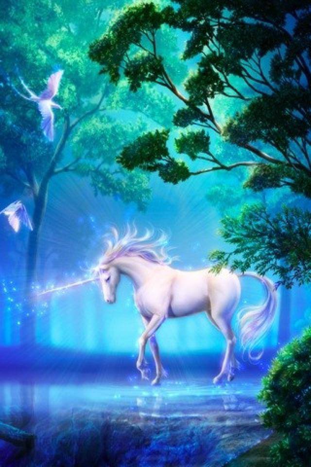 White Unicorn Horse Wallpaper